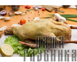 Домашняя утка